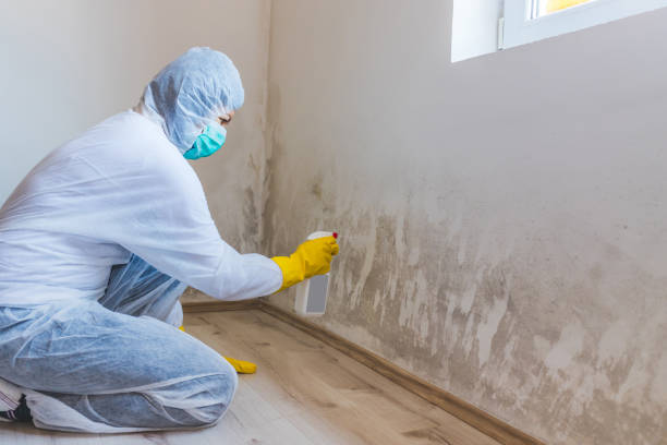 Licensed Mold Testing service in Berkeley Heights, NJ - WQB Mold Removal