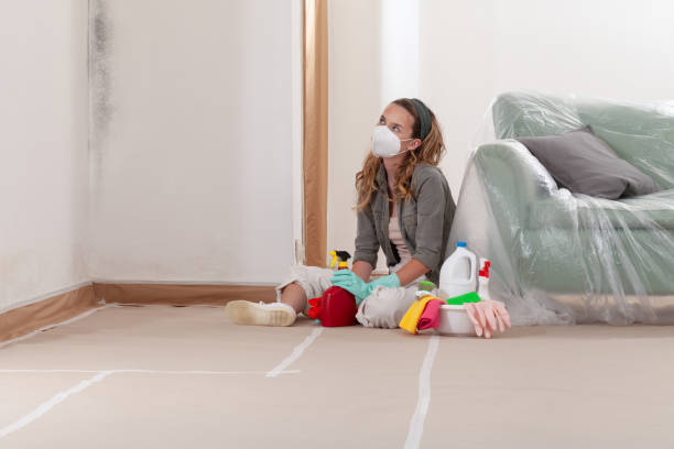 Reliable Mold Testing contractor in Berkeley Heights, NJ by WQB Mold Removal